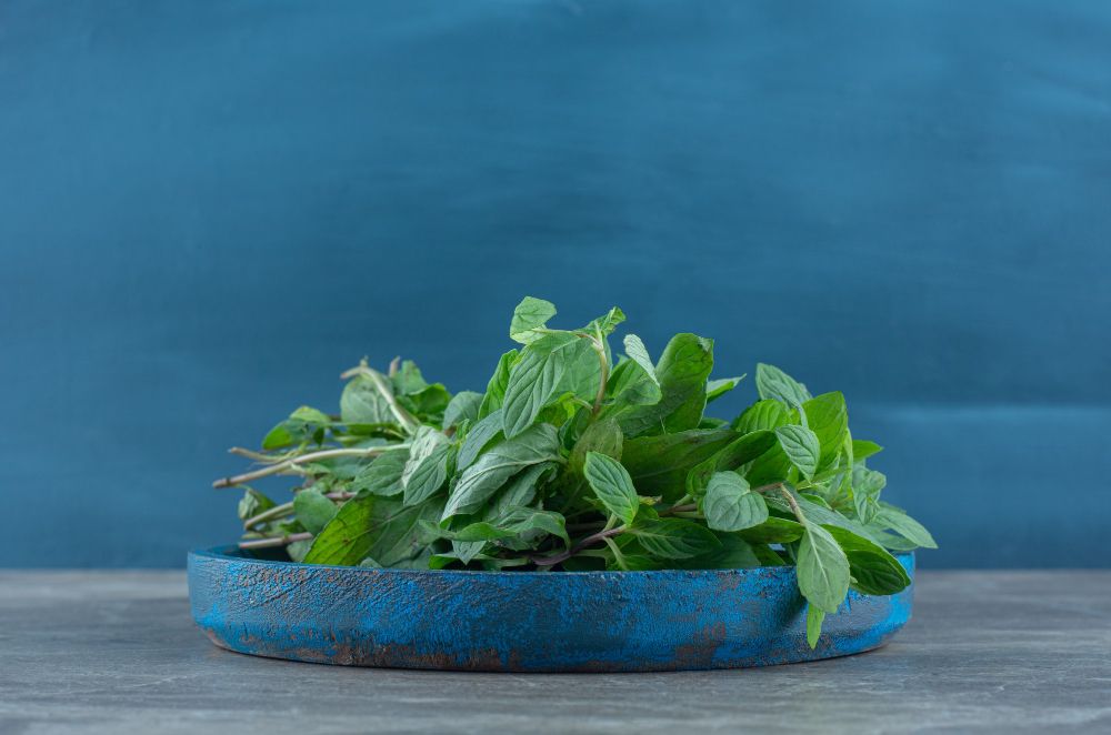 What Is Basil