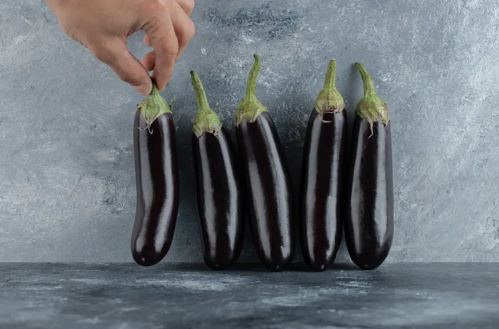 سبب اسوداد الباذنجان: هل هو الأكسدة أم طريقة التخزين؟ دليل كامل لتجنب التغير اللوني في الثلاجة 2 سبب اسوداد الباذنجان - هل هو الأكسدة أم التخزين؟