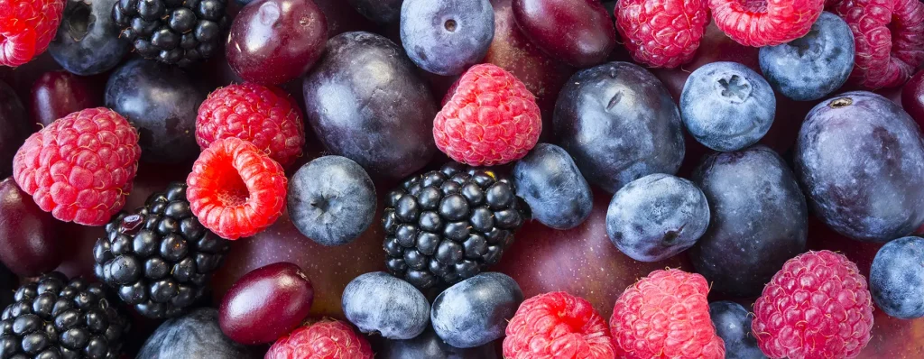 سر الصحة المتكاملة: اكتشفي أقوى فوائد التوت البري للنساء والوقاية من الأمراض 3 فوائد التوت البري للنساء للمسالك والوقاية من الالتهابات