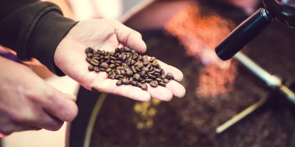 افكار لتحميص البن في المنزل: كيف تحصل على نكهة القهوة المختصة؟ 10 أفضل افكار لتحميص البن في المنزل لعام 2026