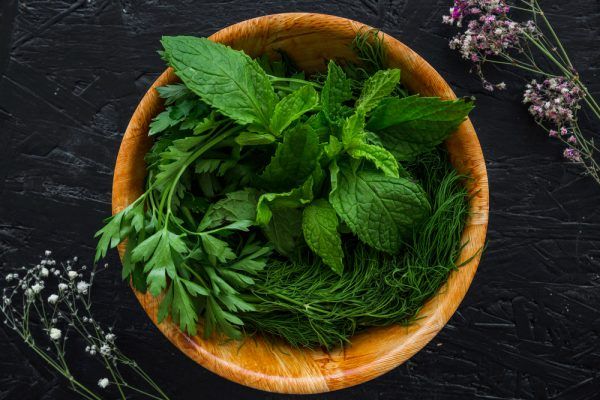 Benefits of eating basil leaves daily | Surprising Benefits