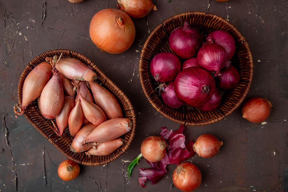 افضل انواع البصل للاكل - دليل لتقطيعه دون دموع